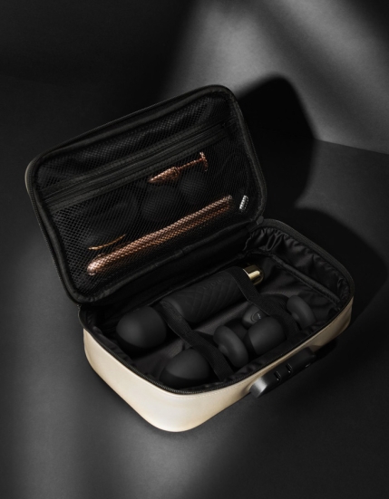 Сумочка для хранения секс-игрушек Discreet Box